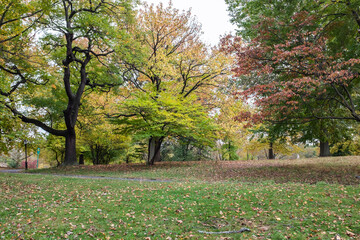 Sticker - autumn in the park