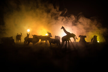 A group of animals are grouped together on a black background with glowing white rays. Animals range from an elephant, zebra, bear and rhino. Use it for a zoo or friends concept.