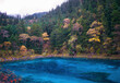 Autumn in Tibet__.Water brings Jiuzhaigou Valley its most enchanting views, which is the soul of the place, with 114 lakes and many waterfalls, lush forest & rare wildlife.