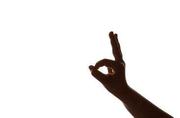 Wall Mural - Child performing a shadow play on white background