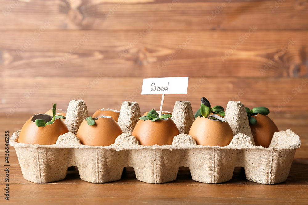 Tag with word SEED and young plants in eggshells on wooden background