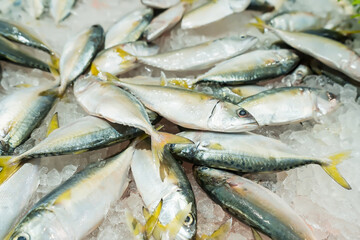 Wall Mural - Fresh fish on ice display in a supermarket.