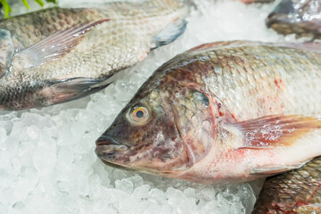 Wall Mural - Fresh fish on ice display in a supermarket.