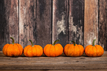 Wall Mural - Mini pumpkins in a row against rustic wooden background, copy space.