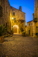 Poster - Vertical shot of a medieval town with old rough weathered stone buildings illuminated at night