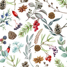 Winter Forest Watercolor Seamless Pattern. Hand Drawn Illustration. Pine, Eucalyptus, Fern, Red Berries, Cone Winter Season Natural Decor. Nature Forest Elements Seamless Pattern. White Background