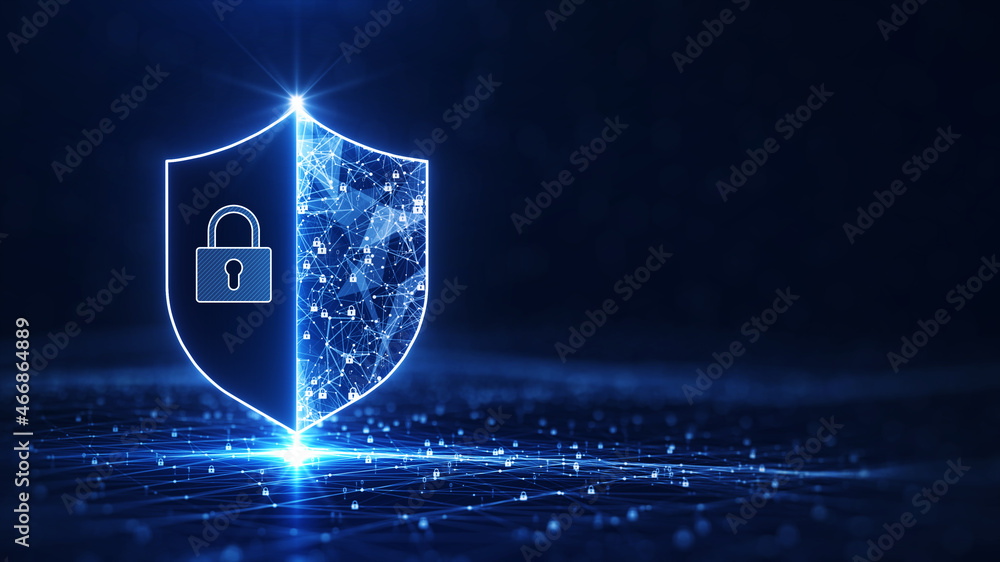 Data protection is a concept in cybersecurity and privacy technologies ...