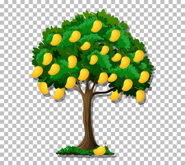 Sticker - Mango tree on transparent background