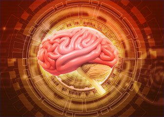 Wall Mural - Human brain on digital technology background. 3d illustration.