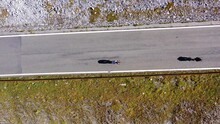 Top down aerial drone footage of cyclists biking along the famous Stelvio mountain pass in the alps in Italy on a sunny summer day. 
