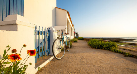 Wall Mural - Paysage de bord de mer en France.