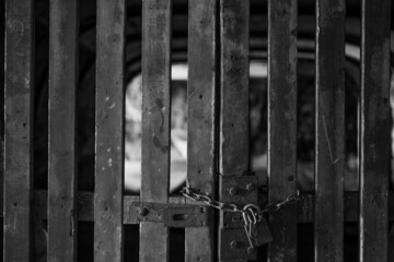 Sticker - Grayscale shot of the old locked gates.