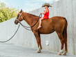 © ADDICTIVE STOCK - Small boy in cowboy hat sitting on brown horse