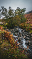 Wall Mural - Waterfall during autumn, Lake District, UK