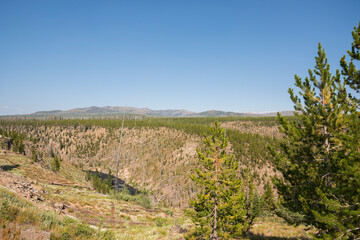 Wall Mural - Yellowstone lake and Yellowstone river in Yellowstone National Park in Wyoming