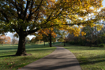 Wall Mural - Iowa Jasper Park Golf Court Autumn Scene