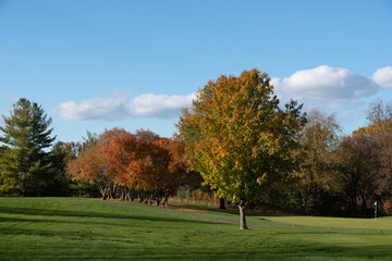 Wall Mural - Iowa Jasper Park Golf Court Autumn Scene