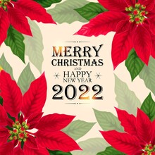Vector Christmas Card With Red Poinsettia Flowers