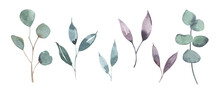 Watercolor Green, Mint, Lilac Wild Leaves Set. Isolated On White Background. Hand Drawn Floral Illustrations. For Wallpaper, Postcard, Print, Invitations, Patterns, Poster, Packaging, Linens Etc