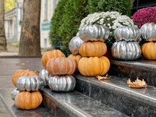Orange And Silver Pumpkins With Chrysanthemum Bushes On The Steps. Thanksgiving Decoration