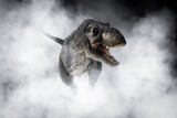 Tyrannosaurus T-rex ,dinosaur on smoke background