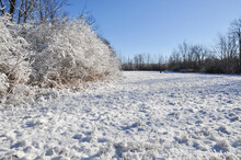 Plain Meadow Covered In Snow