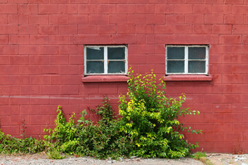 Wall Mural - farmhouse red brick barn farm building painted lush green bushes yard hedge plants architectural landscape background