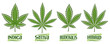 Vector Cannabis Leaves Set, collection of 4 cut out illustrations different cannabis concepts, banner with group diverse marijuana leaf, decorative lettering for medical dispensary on white background