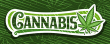 Vector Banner For Cannabis, Horizontal Sign Board With Illustration Of Cannabis Leaf And Decorative Flourishes, Add Coupon With Unique Brush Lettering For Word Cannabis On Marijuana Leaves Background.