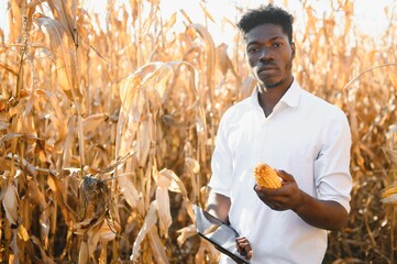 Wall Mural - African Farmer stand in the corn plantation field