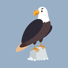 Canvas Print - Bald Eagle as Arctic Animal Sitting on Stone Vector Illustration