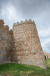 Walls of Avila, Spain. This site is a National Monument, and the old city was declared a World Heritage site by UNESCO