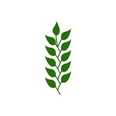 Canvas Print - leaf branch icon design template vector