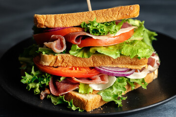 Tasty sandwich with vegetables and meat