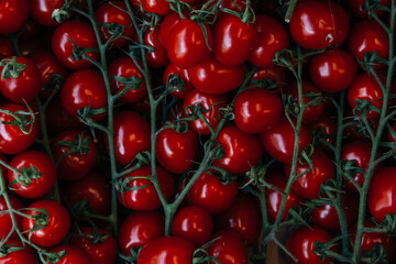 Closeup shot of many tomatoes