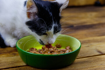 Kitten eating his food from ceramic bowl on wooden floor