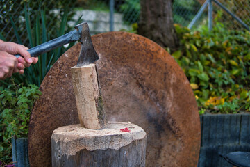 Canvas Print - Shot of a man breaking a stick in a garden