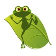 Illustration of a frog on a leaf