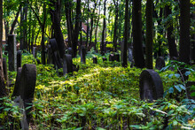 Okopowa Jewish Cemetery In Warsaw, Poland