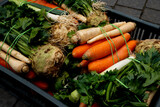 Fototapeta Fototapety do kuchni - Włoszczyzna, Warzywa przygotowane do sprzedaży,  Vegetable sets prepared for sale