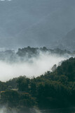 Fototapeta Na ścianę - Fog over the mountains