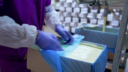 Wall Mural - Filling of butter container . Butter poured into box at the creamery