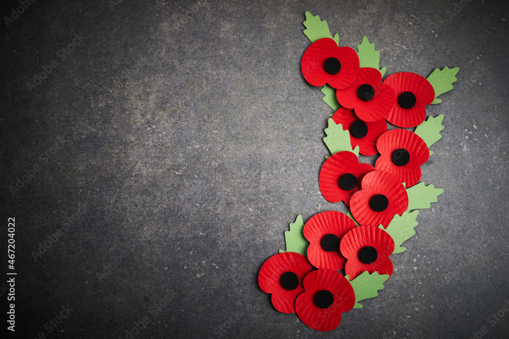 World War remembrance day. Red poppy is symbol of remembrance to those ...