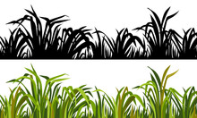 Silhouette Grass, Weed, Marsh Reeds, Cattail, Bulrush. Isolated Border Of Swamp And Exotic Plants.