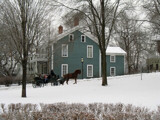 Wall Mural - Horse driven carriage