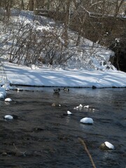 Wall Mural - river in winter