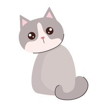 Cute Cat Gray Color