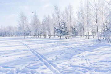 Wall Mural - Winter landscape in the Park