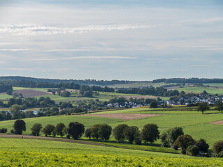 Poster - Feldweg