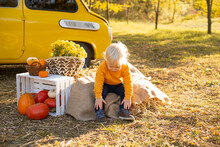 Cute Baby Boy In Autumn Flowers Background With Yellow Car